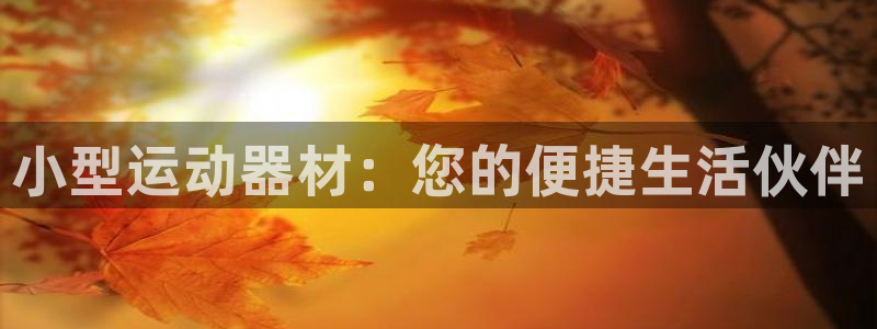 意昂4集团logo：小型运动器材：您的便捷生活伙伴