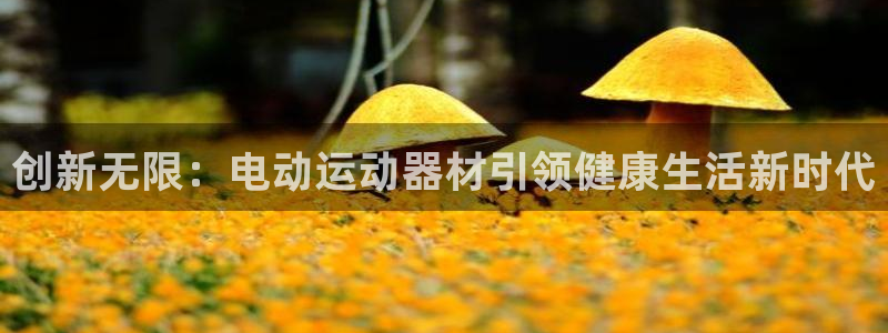 意昂体育4招商电话是多少：创新无限：电动运动器材引领