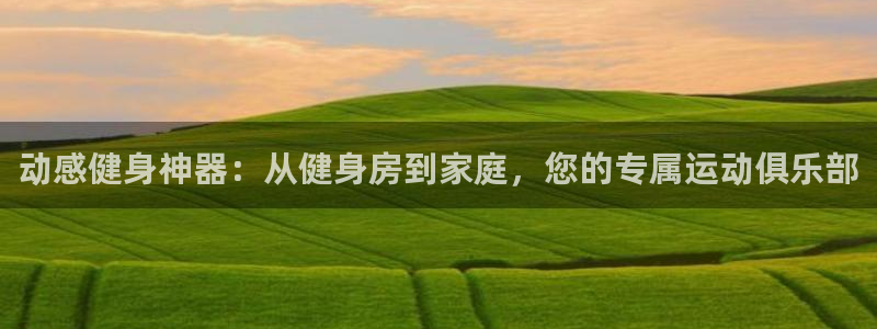意昂4娱乐首页官网下载：动感健身神器：从健身房到家庭