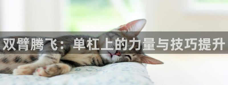意昂体育4招商电话：双臂腾飞：单杠上的力量与技巧提升