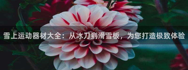意昂体育4招商电话号码查询：雪上运动器材大全：从冰刀