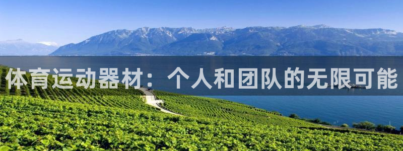 意昂体育4平台注册要钱吗安全吗：体育运动器材：个人和