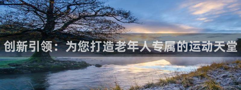意昂平台体育：创新引领：为您打造老年人专属的运动天堂