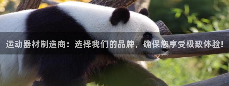 意昂体育4招商电话是多少：运动器材制造商：选择我们的