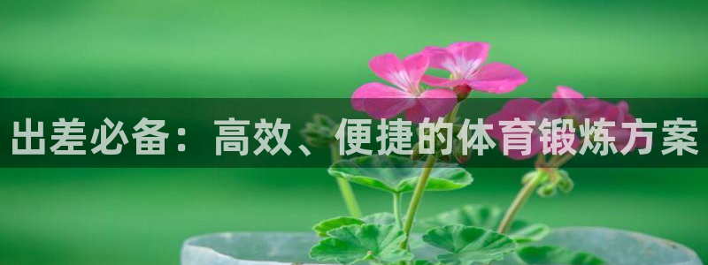 意昂体育4招商：出差必备：高效、便捷的体育锻炼方案