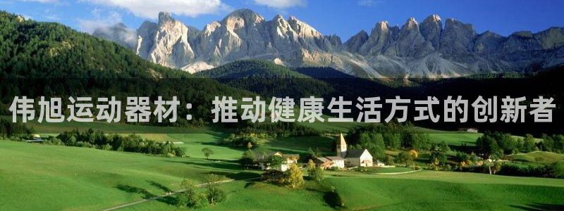 意昂体育4软件：伟旭运动器材：推动健康生活方式的创新