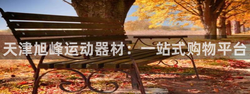 意昂集团官网：天津旭峰运动器材：一站式购物平台