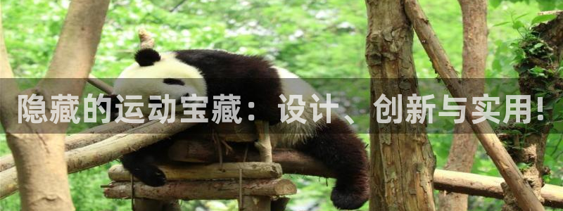 意昂体育4招商电话号码查询是多少：隐藏的运动宝藏：设计、创新