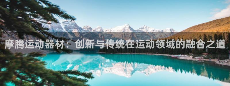 意昂4新能源：摩腾运动器材：创新与传统在运动领域的融