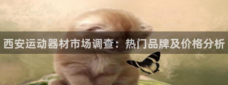 意昂体育4招商电话号码查询：西安运动器材市场调查：热