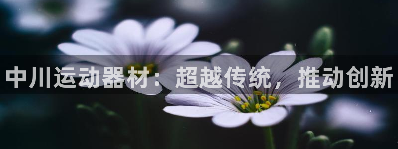 意昂体育4招商：中川运动器材：超越传统，推动创新