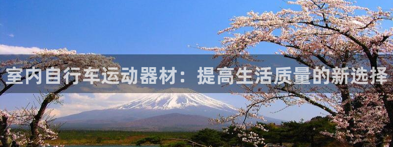 意昂体育4平台是正规平台吗：室内自行车运动器材：提高