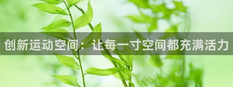 意昂4集团logo：创新运动空间：让每一寸空间都充满