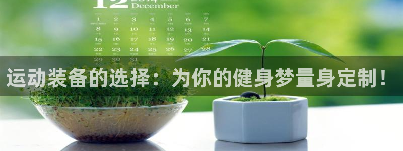 意昂4娱乐首页网站大全：运动装备的选择：为你的健身梦量身定制