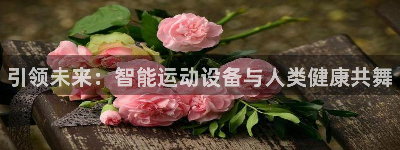 海南意昂体育4发展怎么样