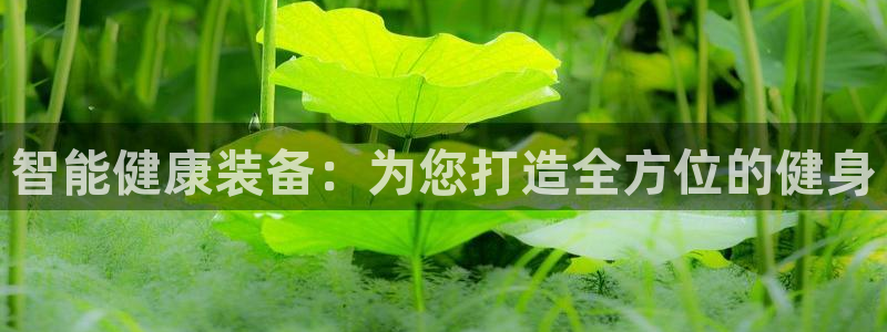 意昂集团官网：智能健康装备：为您打造全方位的健身