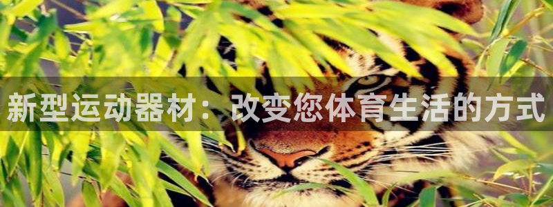 意昂4官方：新型运动器材：改变您体育生活的方式
