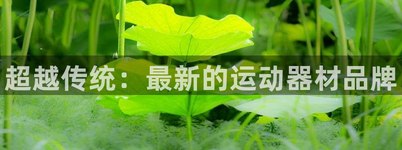 意昂4开户：超越传统：最新的运动器材品牌