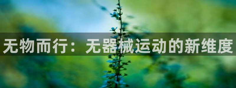 意昂体育4平台注册要钱吗安全吗：无物而行：无器械运动