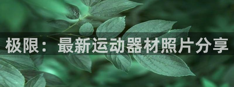 意昂体育4招商电话号码是多少啊：极限：最新运动器材照