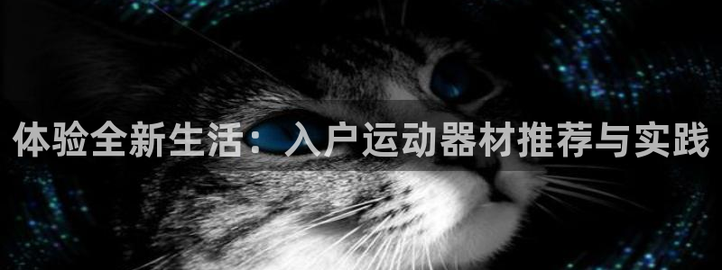 意昂体育4招商电话号码是多少：体验全新生活：入户运动