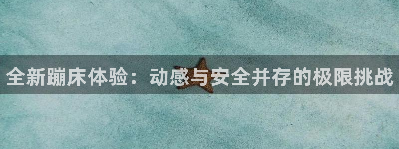 意昂体育4平台注册：全新蹦床体验：动感与安全并存的极