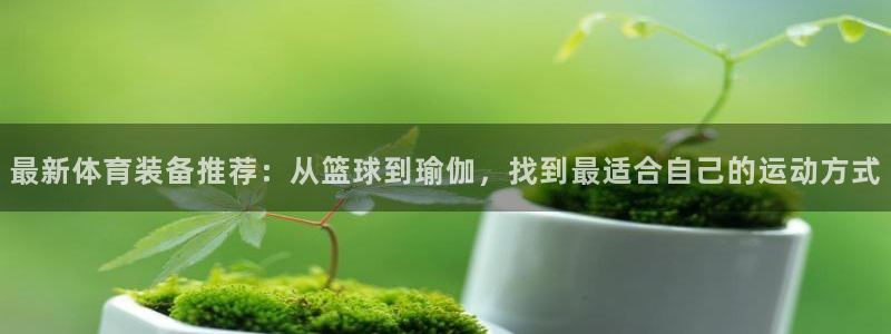 意昂体育4官方客服电话：最新体育装备推荐：从篮球到瑜