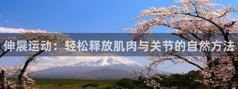 意昂体育4平台注册流程视频：伸展运动：轻松释放肌肉与