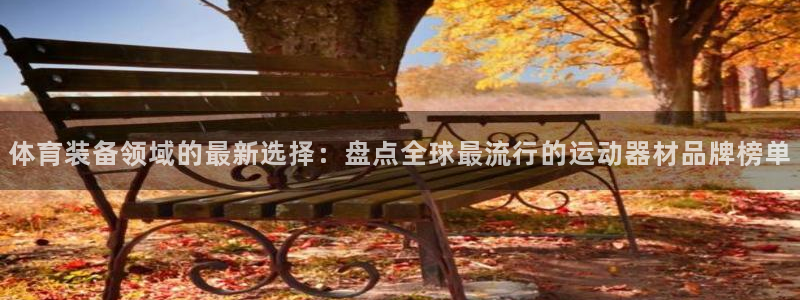 意昂体育4官方客服电话：体育装备领域的最新选择：盘点