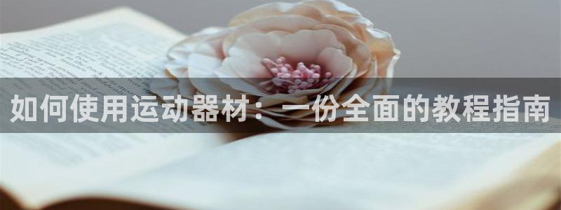 意昂4集团E.ON