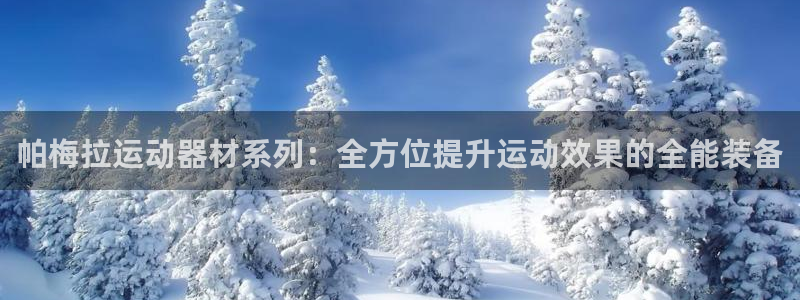 意昂4集团：帕梅拉运动器材系列：全方位提升运动效果的全能装备