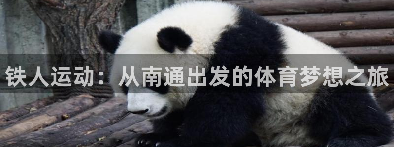 意昂体育4招商电话是多少：铁人运动：从南通出发的体育梦想之旅