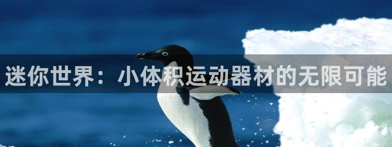 海南意昂体育4发展怎么样：迷你世界：小体积运动器材的无限可能